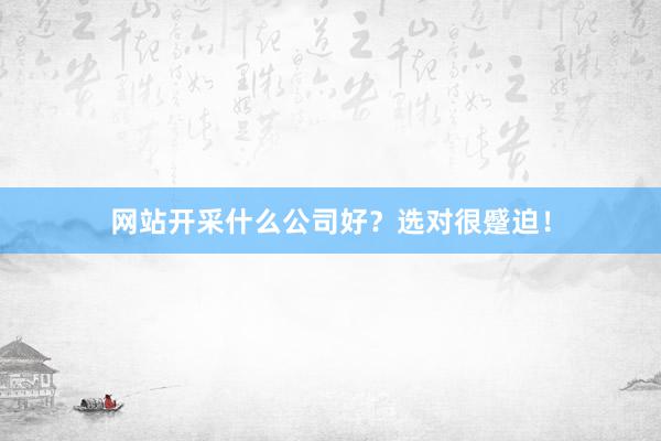 网站开采什么公司好？选对很蹙迫！