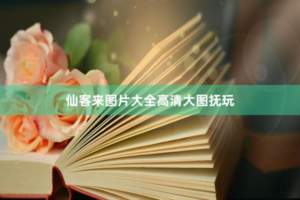 仙客来图片大全高清大图抚玩