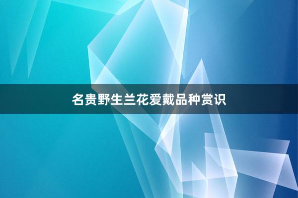 名贵野生兰花爱戴品种赏识