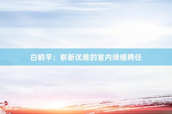 白鹤芋：崭新优雅的室内绿植聘任