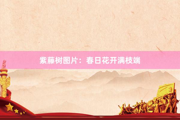 紫藤树图片：春日花开满枝端